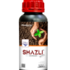 Shazli