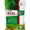 Kizlay