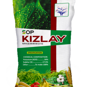 Kizlay