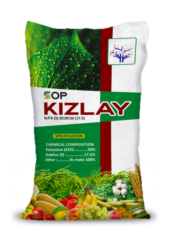 Kizlay